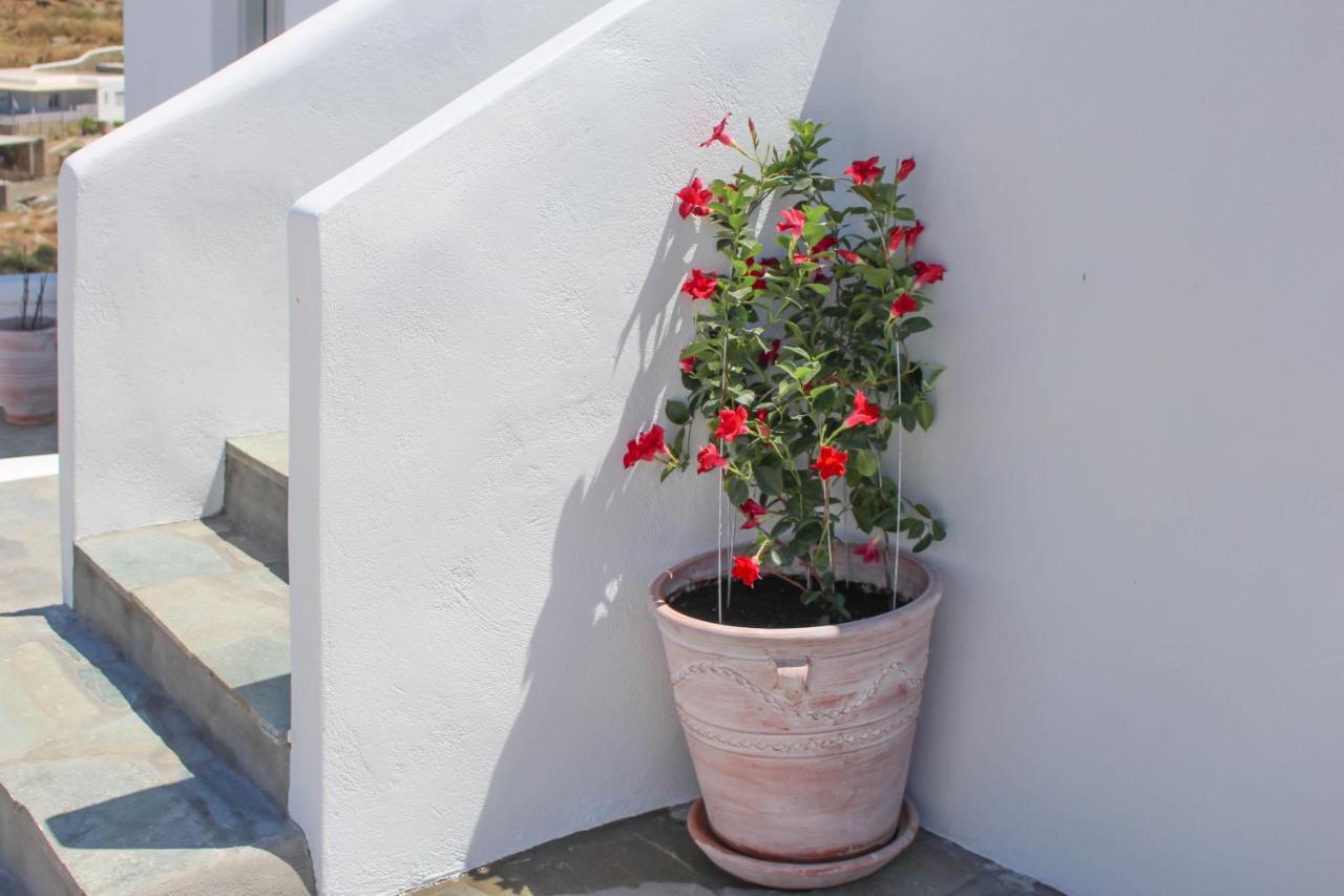 Aparthotel Crystal View Mykonos Mykonos Town Zewnętrze zdjęcie